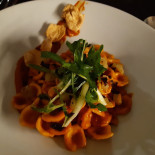 Dish Comida