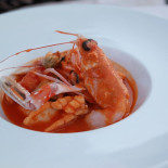 Dish Comida