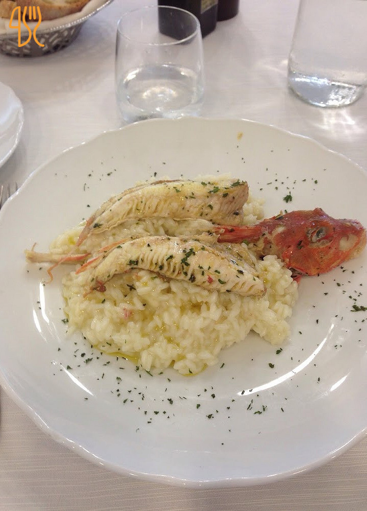 Olonella Nourriture