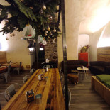 Gekoo À l'intérieur