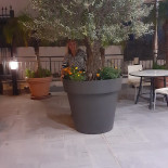 Pizzeria Rispoli Außen
