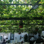 Pizzeria Rispoli Extérieur