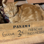 Cascina Caterina Carta