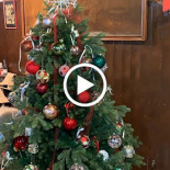 Trattoria Casottel Boisson