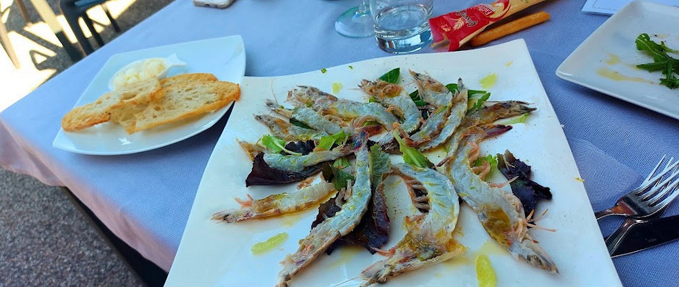 Lanzagallo Nourriture