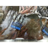 Elio Fish S.r.l Carte