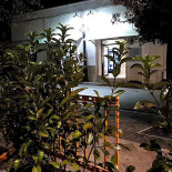 Al 76 Da Michele Pizzeria.braceria. Exterior