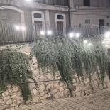 Nettari E Portate Exterior
