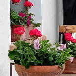Ca'mariuccia Agriturismo Biologico Getränk