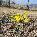 Ca'mariuccia Agriturismo Biologico Getränk