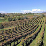 Agriturismo Cascina Varocara Exterior