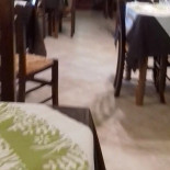 Pizzeria Tre Cancelli Dentro