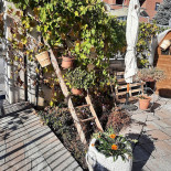 Osteria Vino E Cucina Exterior