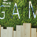 Sagami Modena Exterior