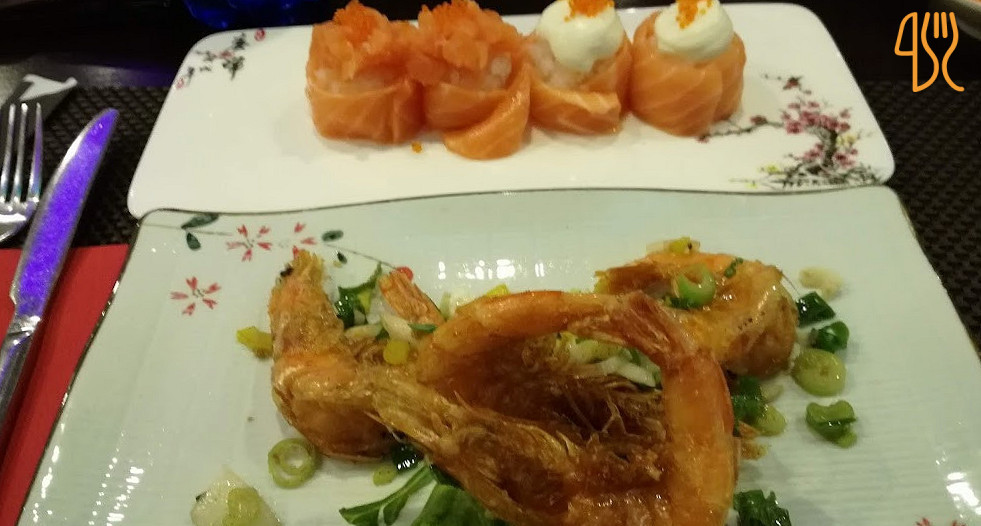 New Concept Comida
