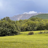 Del Rio Extérieur