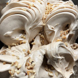 Leo Pasticceria Gelateria Getränk