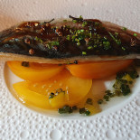 Pedaggera Essen