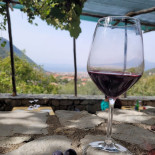 Agriturismo B&b Casa Scola Boisson
