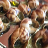 Duvert Essen