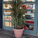 Express Cafè Exterior