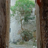 Elimo Panoramico Outside