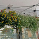 Gekoo Exterior