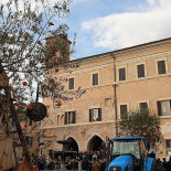 Winner Exterior