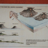 Al Ciclamino Carta