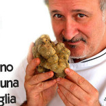 Bauto Bebida