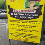 Decimo Pizzabistrot Carta