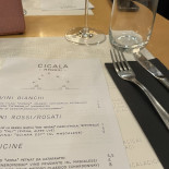 Cicala Carte