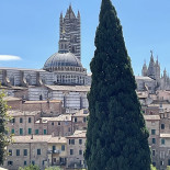 Bruscello Bistrò Außen
