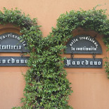Navedano Exterior