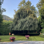 Navedano Exterior
