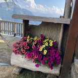 Rifugio Motta Exterior