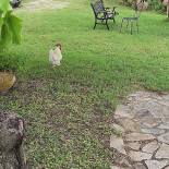 Agriturismo Poderuccio Außen