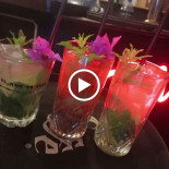 Tortuga Tropea Boisson