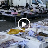 Ittica Del Golfo Extérieur