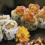 Tegami Sushi Comida