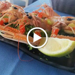 Colapisci /pizzeria Comida