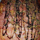 Pizza La Corte Andria Ordinando.it Store Pizzeria A Domicilio Bebida