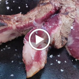 Wolf Comida