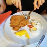 Pironetomosca Comida