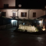 Dei Pini Dentro