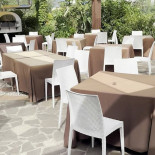 Degli Ulivi À l'intérieur