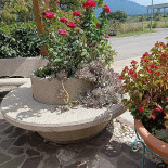 Degli Ulivi Exterior