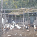Acquaranda Azienda Agricola E Extérieur