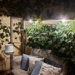 Trattoria Castello À l'intérieur