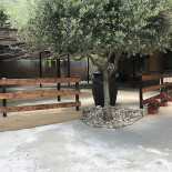 Le Fontanelle Außen
